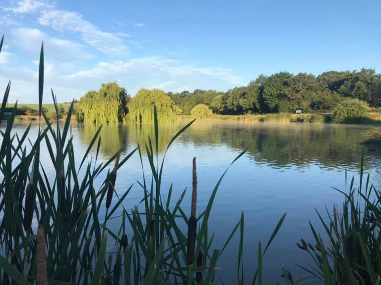 Lake John Fishery