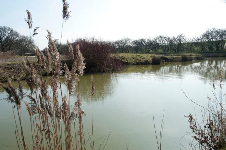 Lake John Fishery