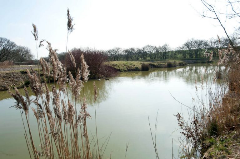 Lake John Fishery