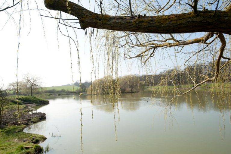 Lake John Fishery