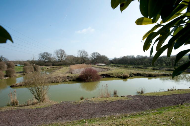 Lake John Fishery