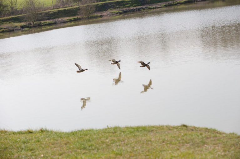 Lake John Fishery