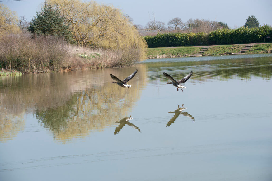 Lake John Fishery